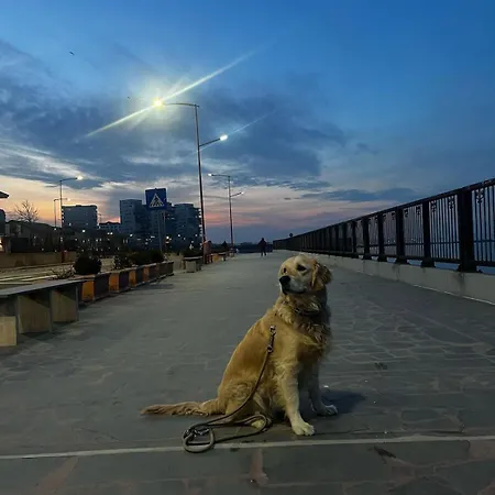 Apartamento Sky44apt Delfinariu Faleza Nord Constanţa