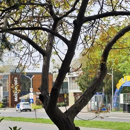 Sky44apt Delfinariu Faleza Nord Apartamento Constanţa