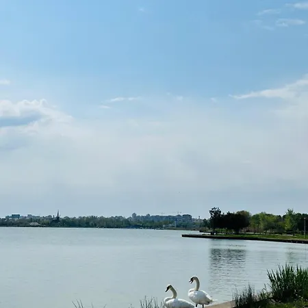 Sky44apt Delfinariu Faleza Nord Apartment Constanţa