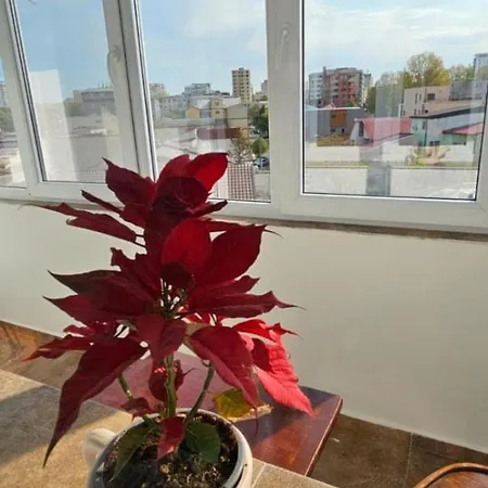 Sky44apt Delfinariu Faleza Nord 콘스탄차